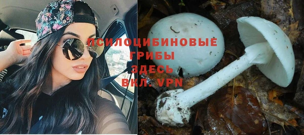 соль ск Медвежьегорск