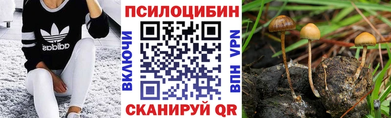 KRAKEN как войти  Фурманов  Галлюциногенные грибы мухоморы 