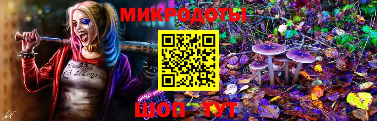 Псилоцибиновые грибы Cubensis Фурманов