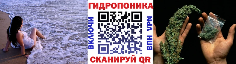 KRAKEN вход  Фурманов  Шишки марихуана Bruce Banner 